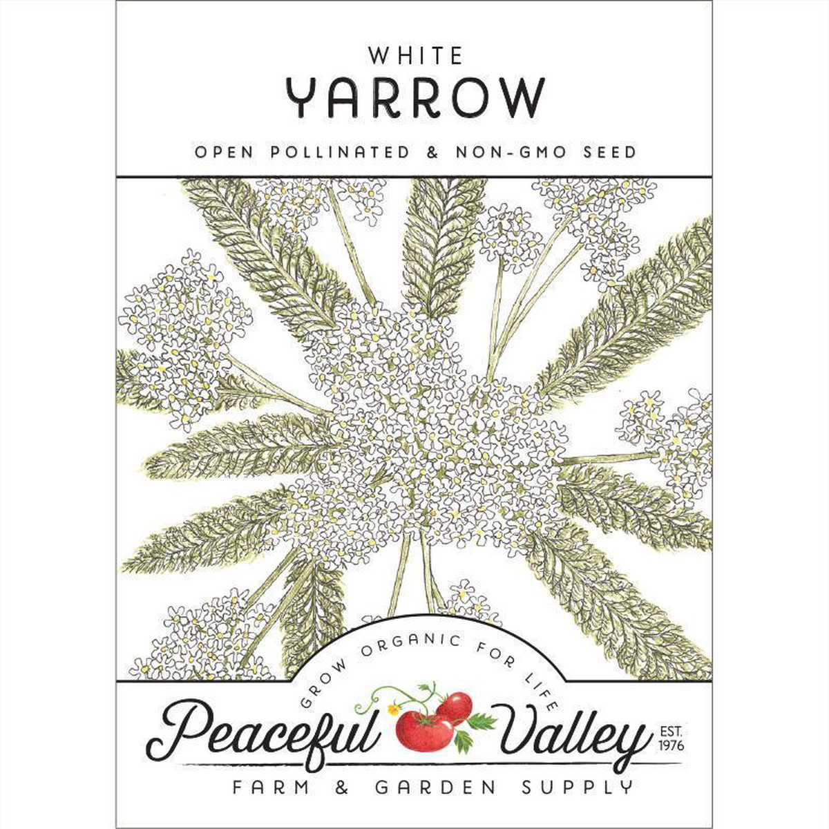 White Yarrow Flower Seeds