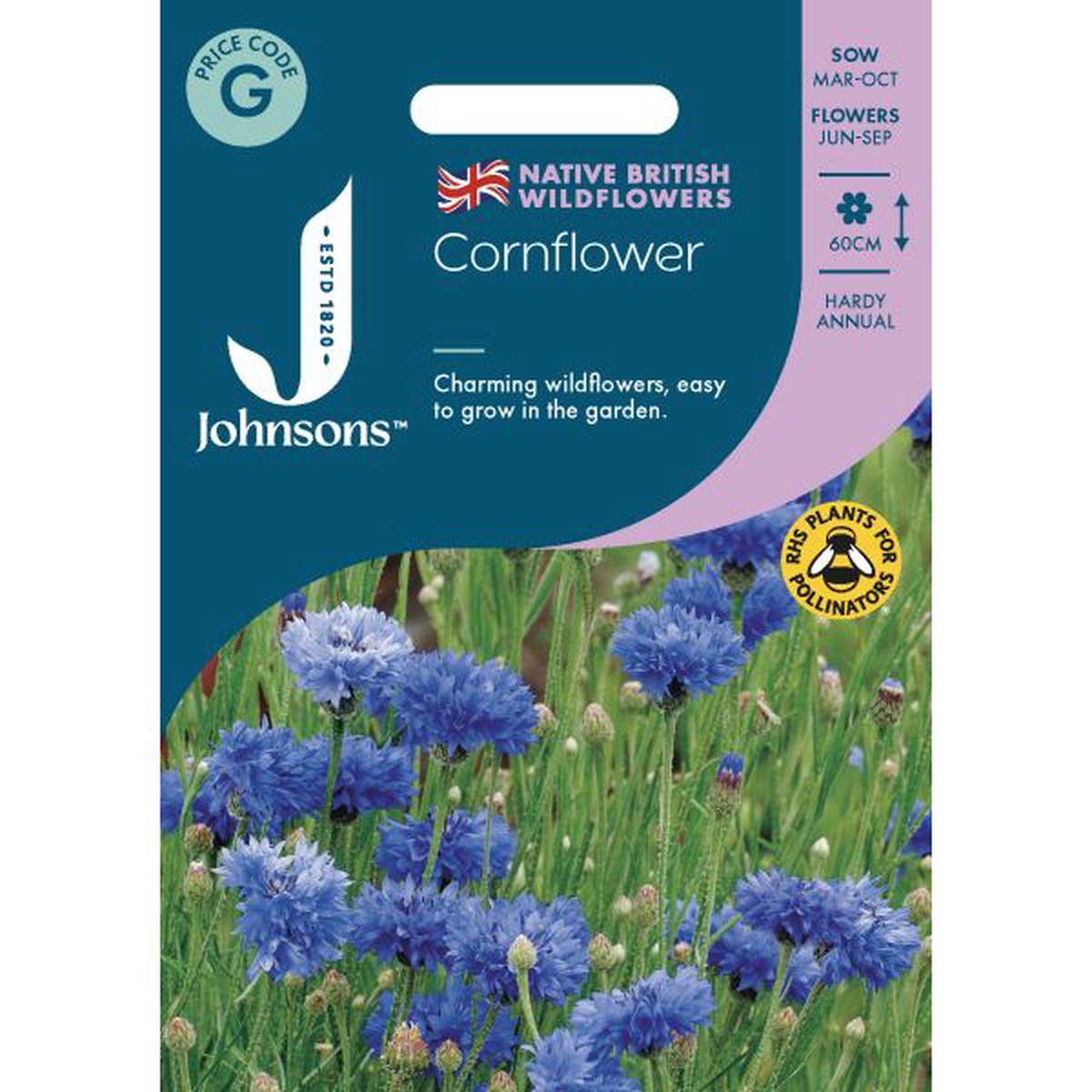 Wildflower Cornflower Seeds