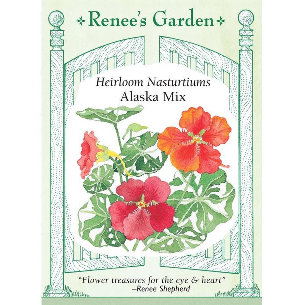 Alaska Nasturtium Flower Seed Mix