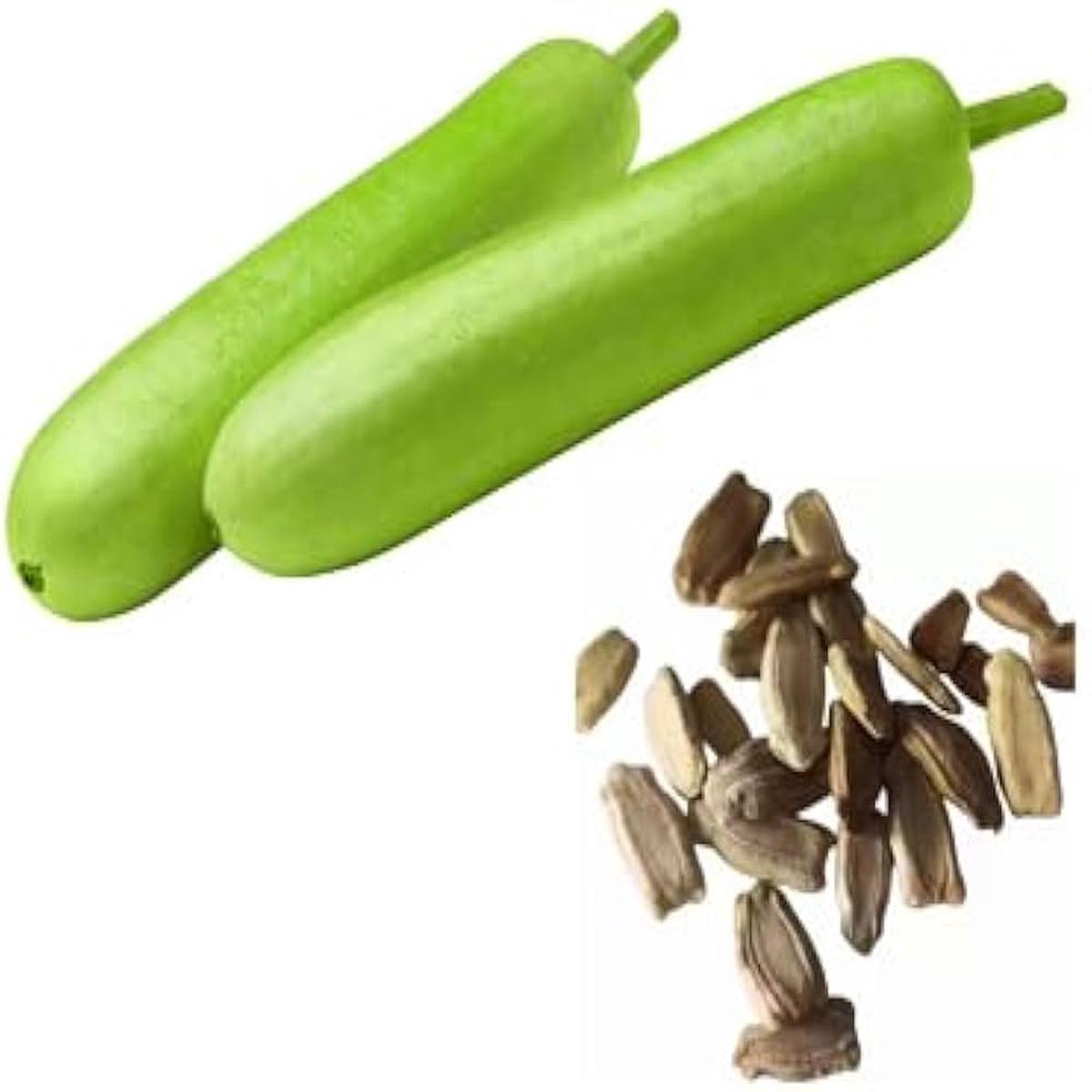 Bottle Gourd Lagenaria siceraria Vegetable Seeds for Planting in Vegetable Patch