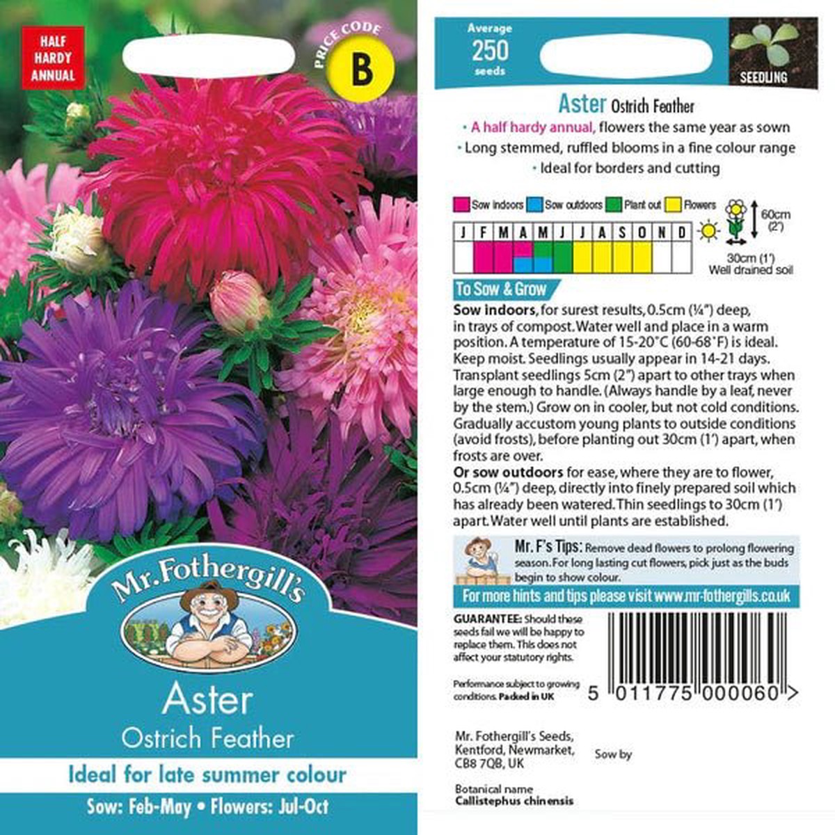 Mr Fothergills Aster Ostrich Feather Seeds