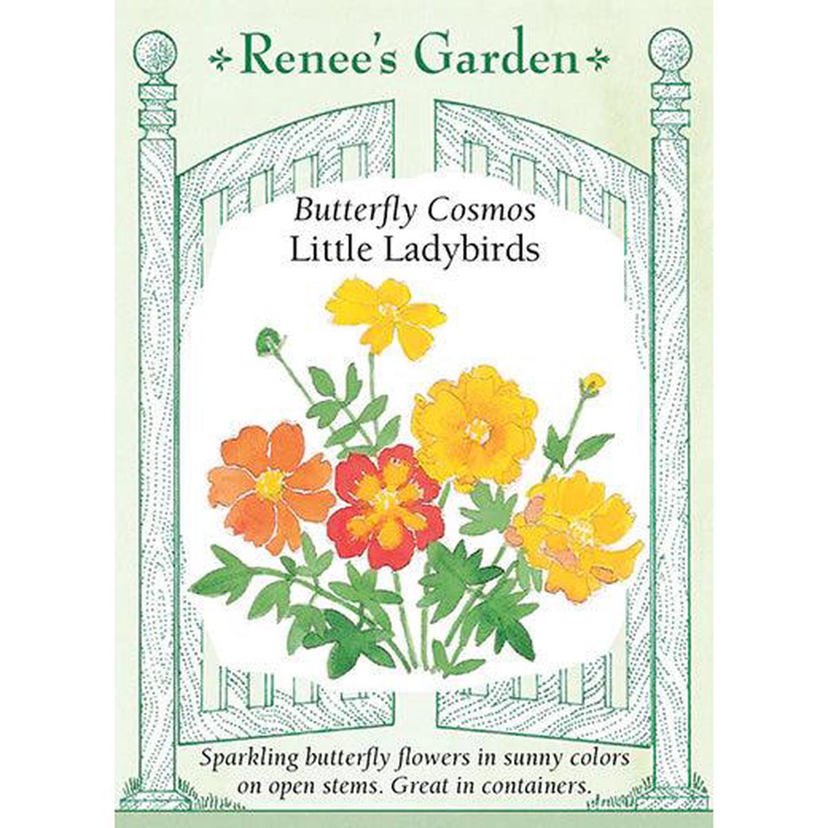 Little Ladybirds Cosmos