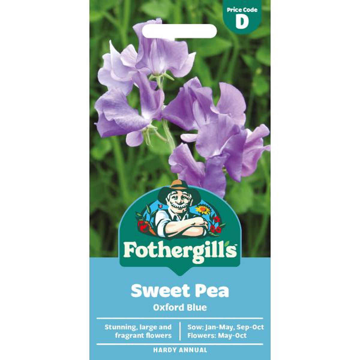Sweet Pea Oxford Blue Seeds