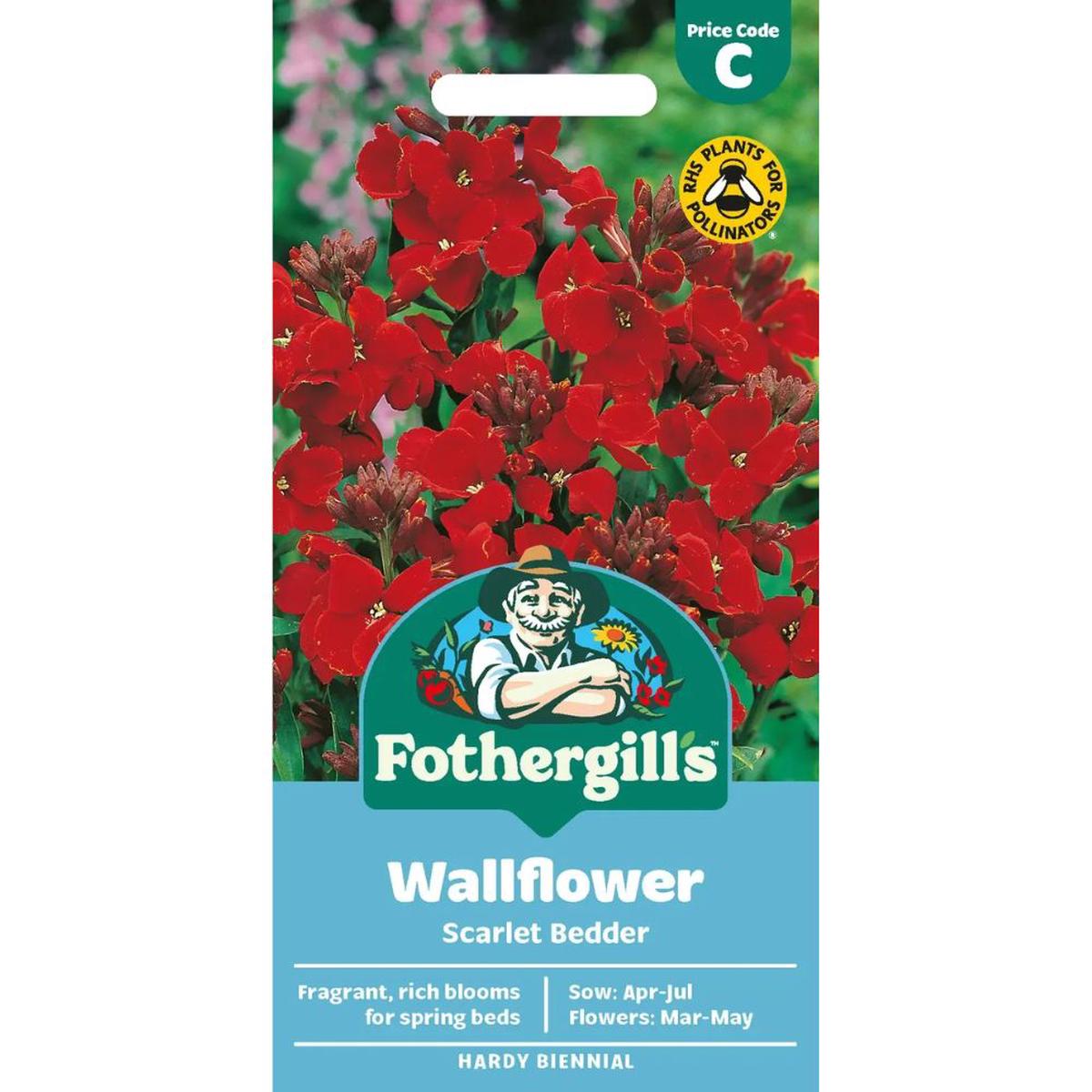 Mr Fothergill's Wallflower Scarlet Bedder Seeds