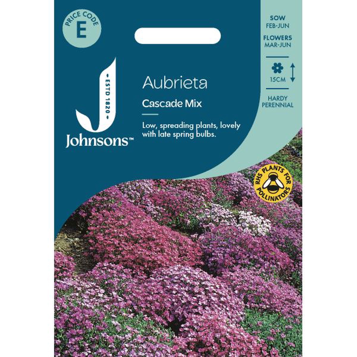 Aubrieta Cascade Mixed Seeds