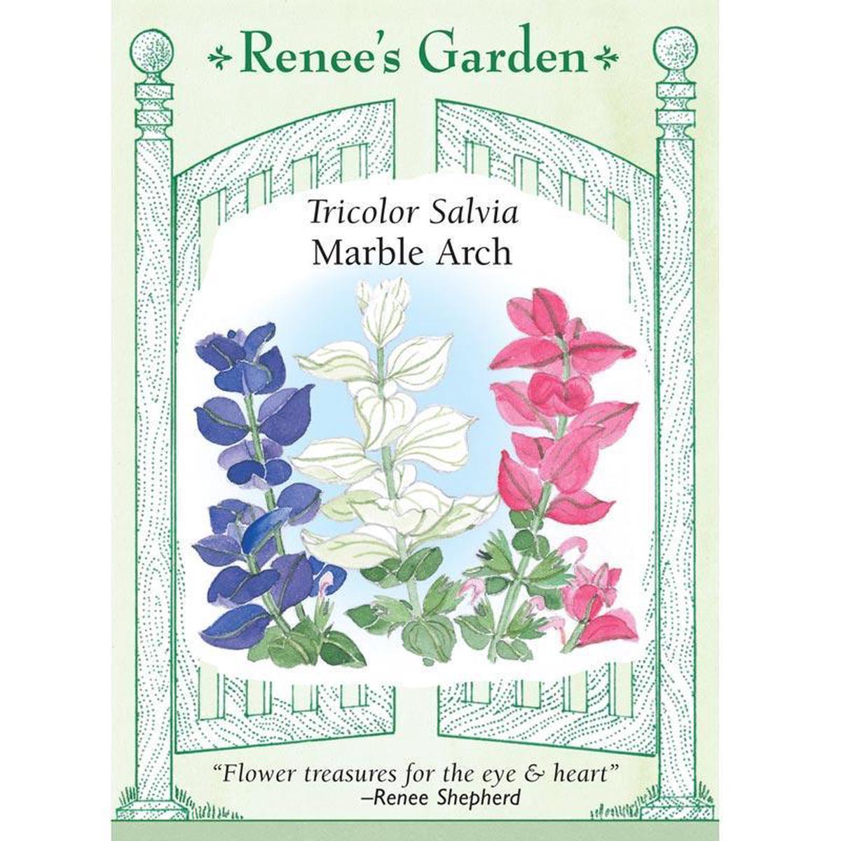 Marble Arch Butterfly Salvia Flower Seeds