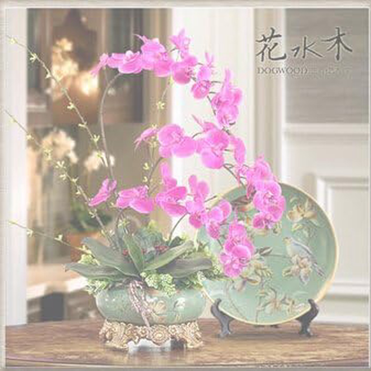 Heirloom Non-GMO Pink Hydroponic Orchid Flower Seeds for Garden Planting Exotic Indoor Blooms