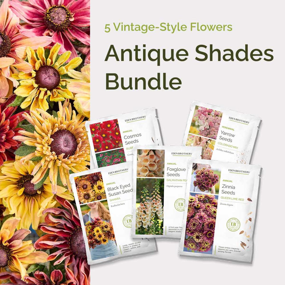 Antique Shades Cut Flower Bundle