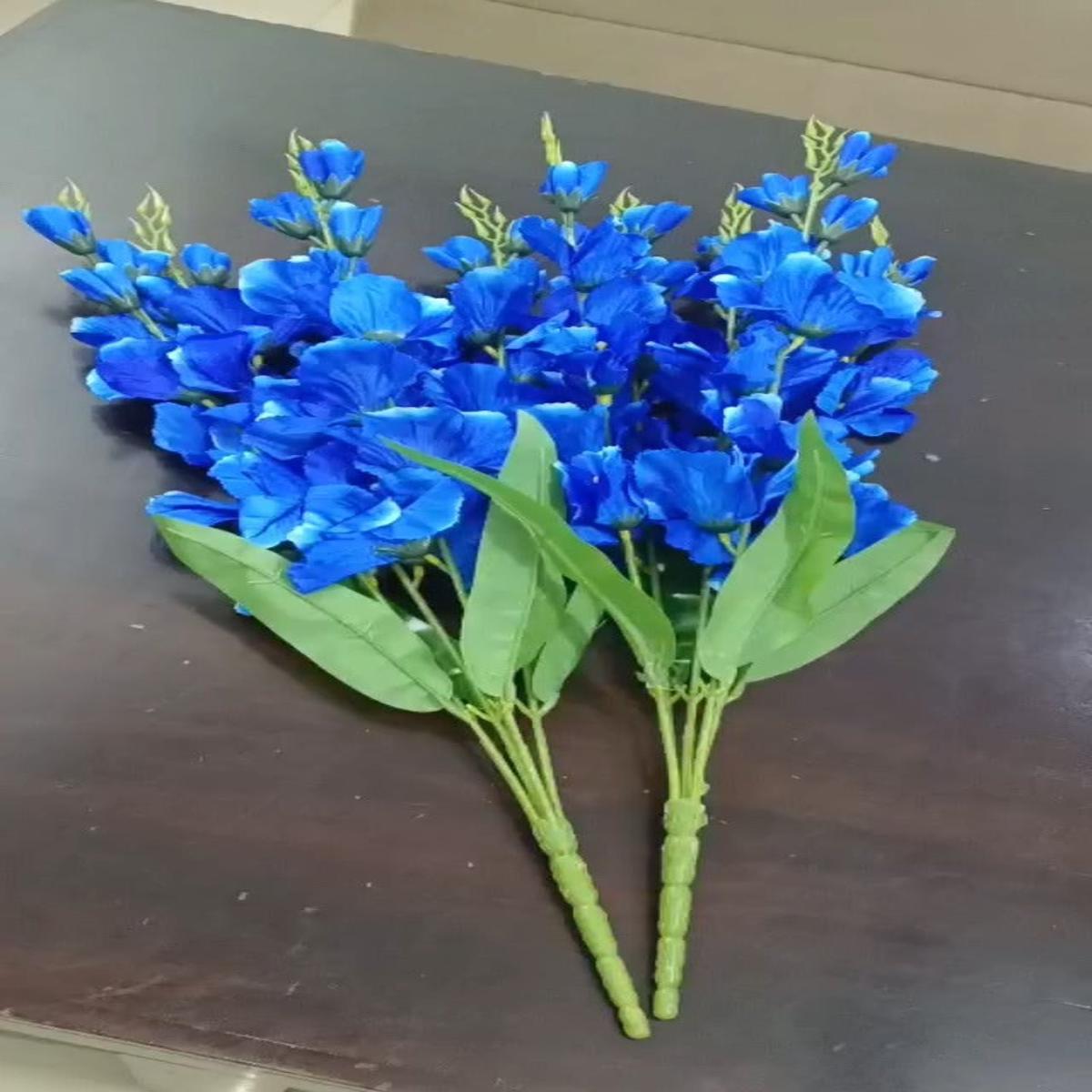 Dark Blue Gladiolus Flower Seeds for Planting Heirloom, Non-GMO, High Germination Organic Garden Seeds