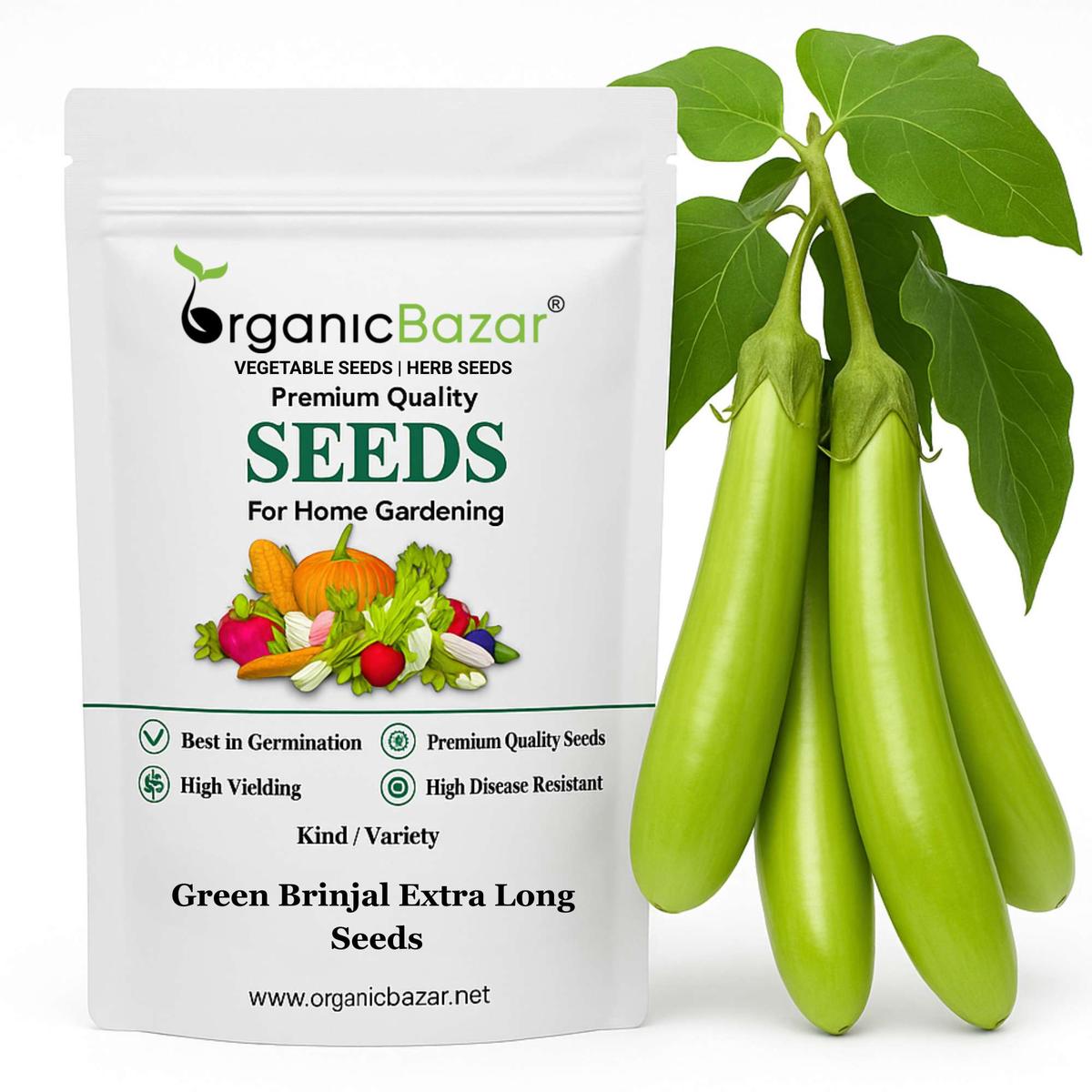 Green Brinjal Extra Long Seeds - (50 Seeds) High Germination/ High Yield / Ideal for Terrace/Kitchen Gardening (Lamba Baingan\Eggplant/ )