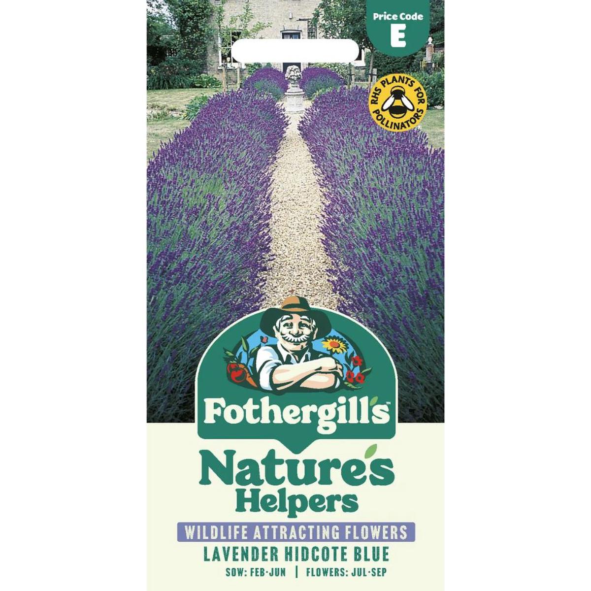 Mr Fothergills Lavender Hidcote Blue Seeds