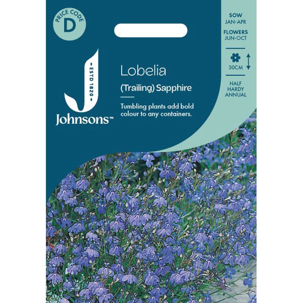 Lobelia (Trailing) Sapphire Seeds