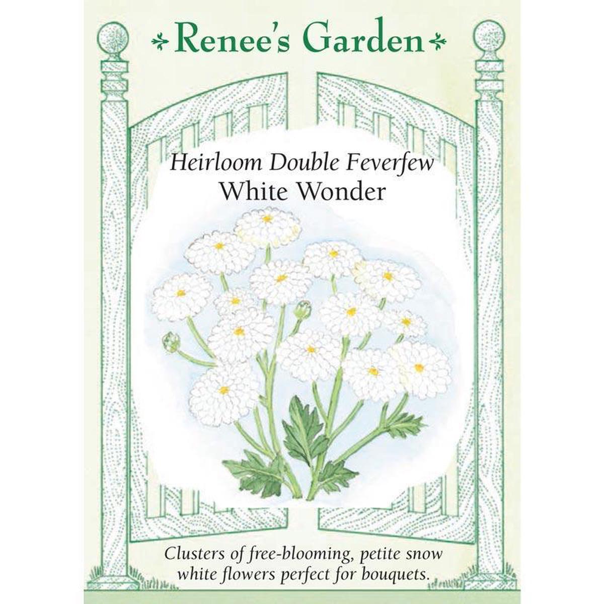 Double White Wonder Feverfew Seeds