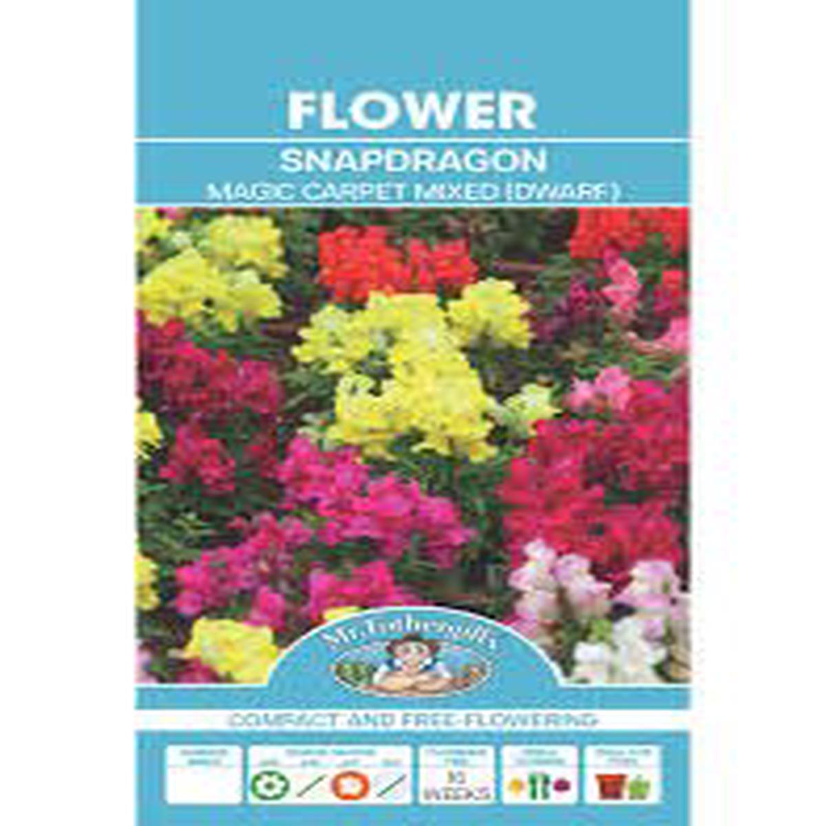 Mr Fothergills Snapdragon Magic Carpet