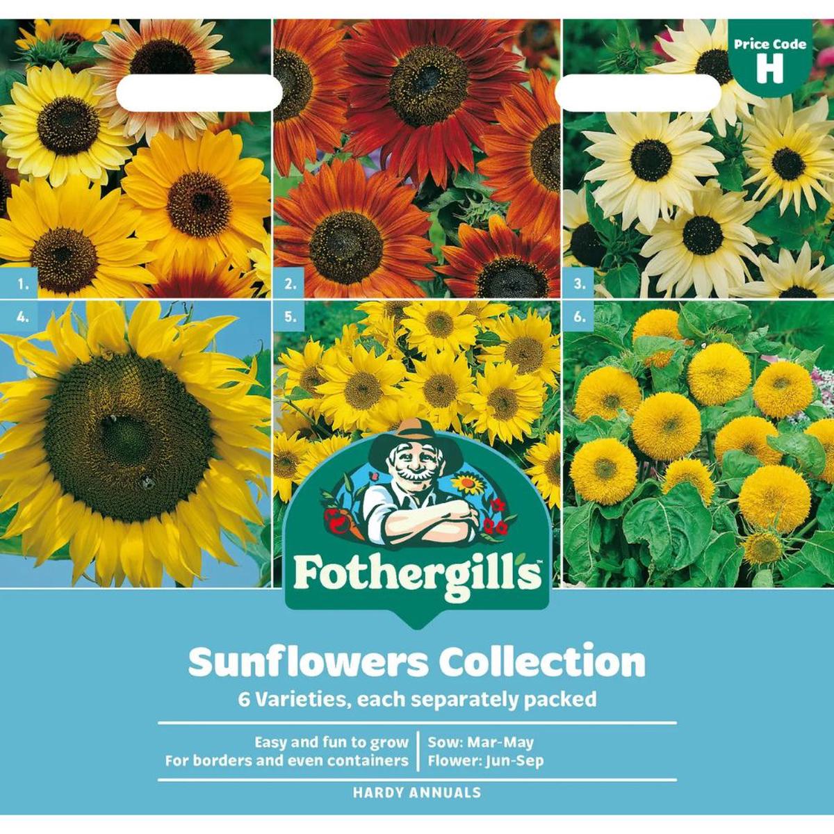 Mr Fothergills Sunflowers Collection Seeds - (Pack of 6)