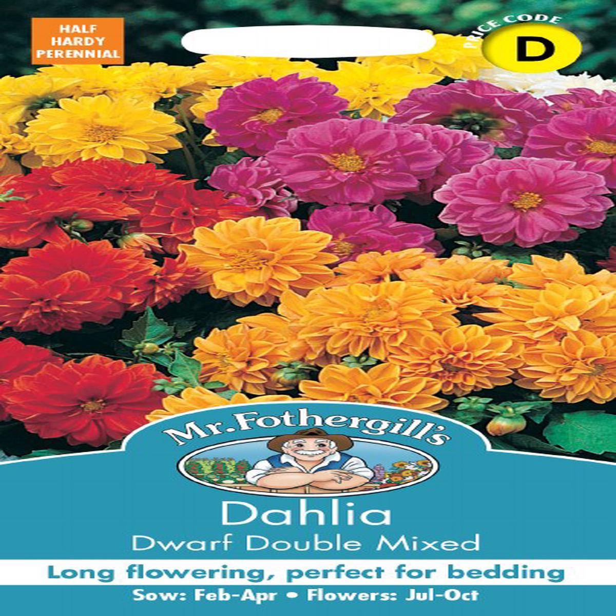 Dahlia Dwarf Double Mix