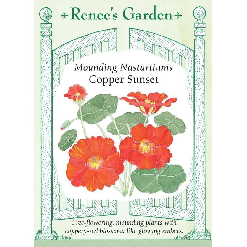 Copper Sunset Mounding Nasturtium Flower Seeds