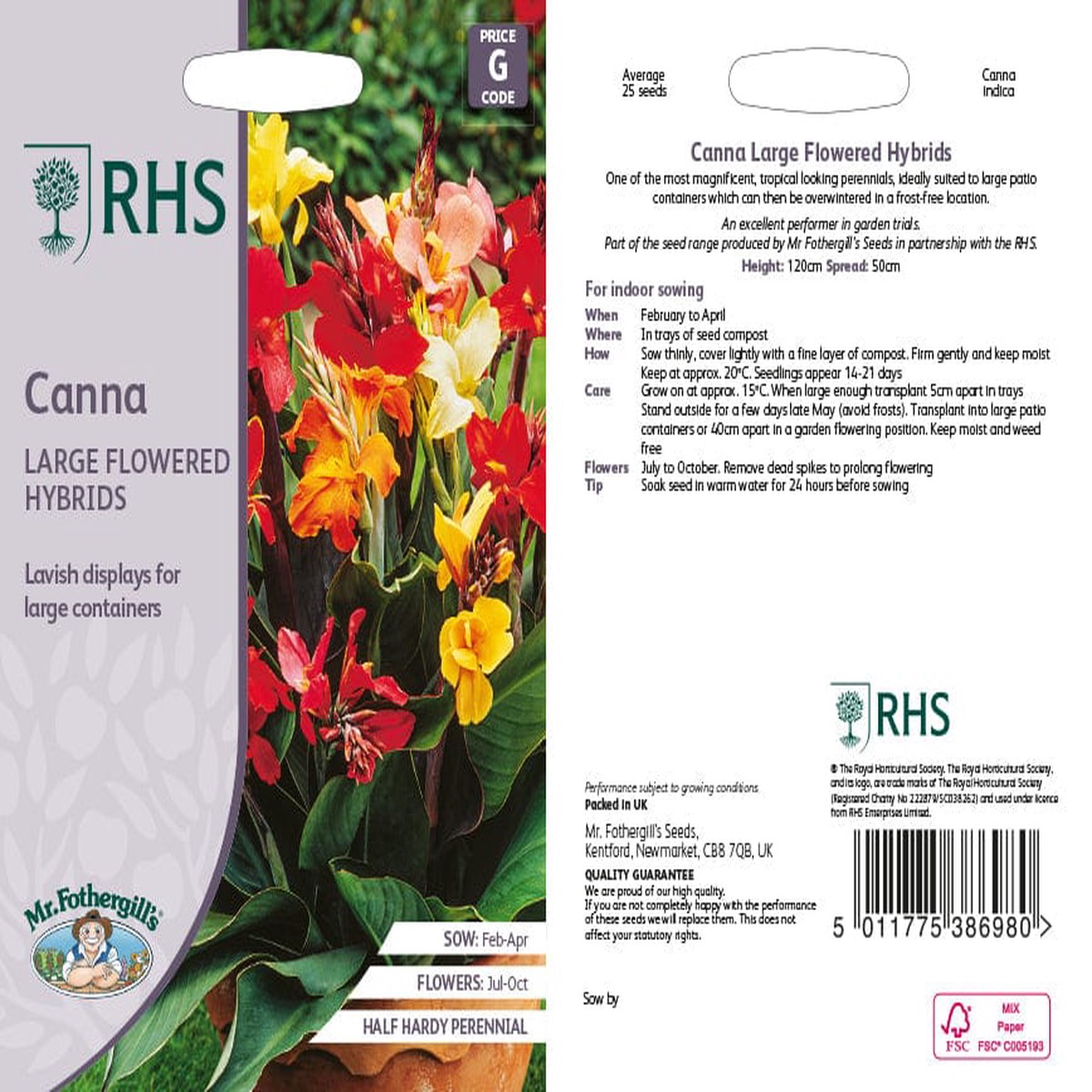 Canna Indica Large Flowered Hybrids Flower Seeds
