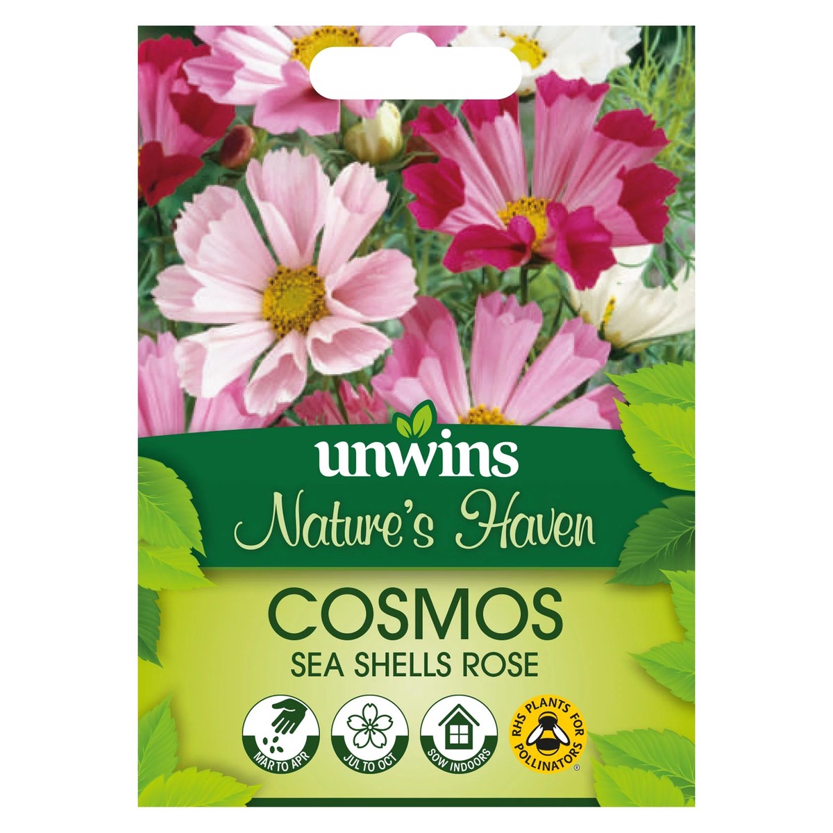 Natures Haven Cosmos Sea Shells Rose