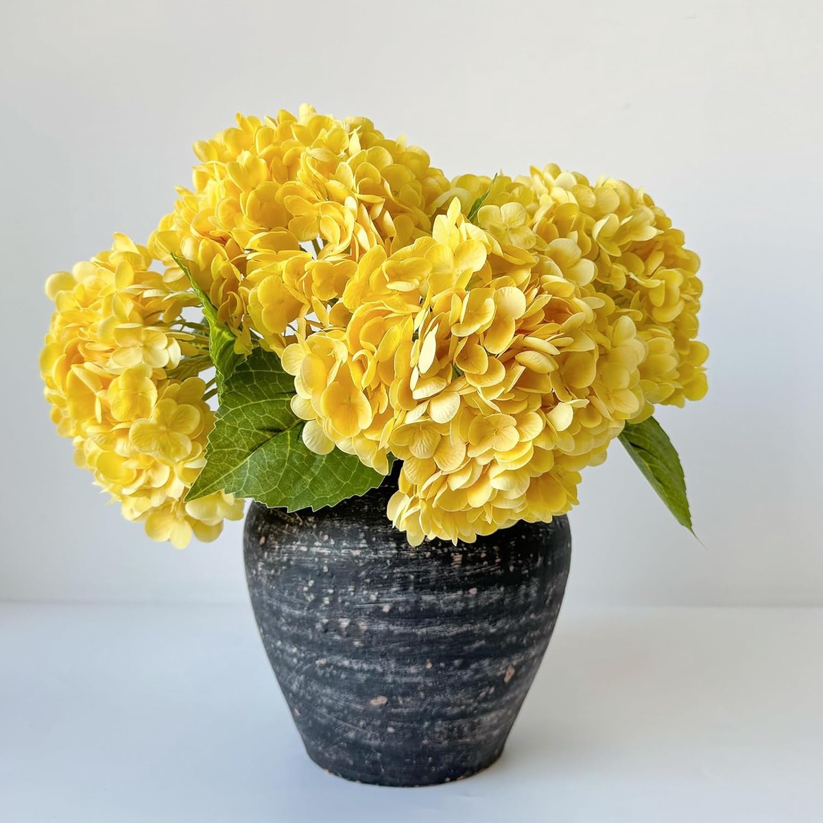 Yellow Hydrangea (Hydrangea macrophylla) Flower Seeds for Planting Heirloom, Non-GMO, Shade-Loving, Perennial
