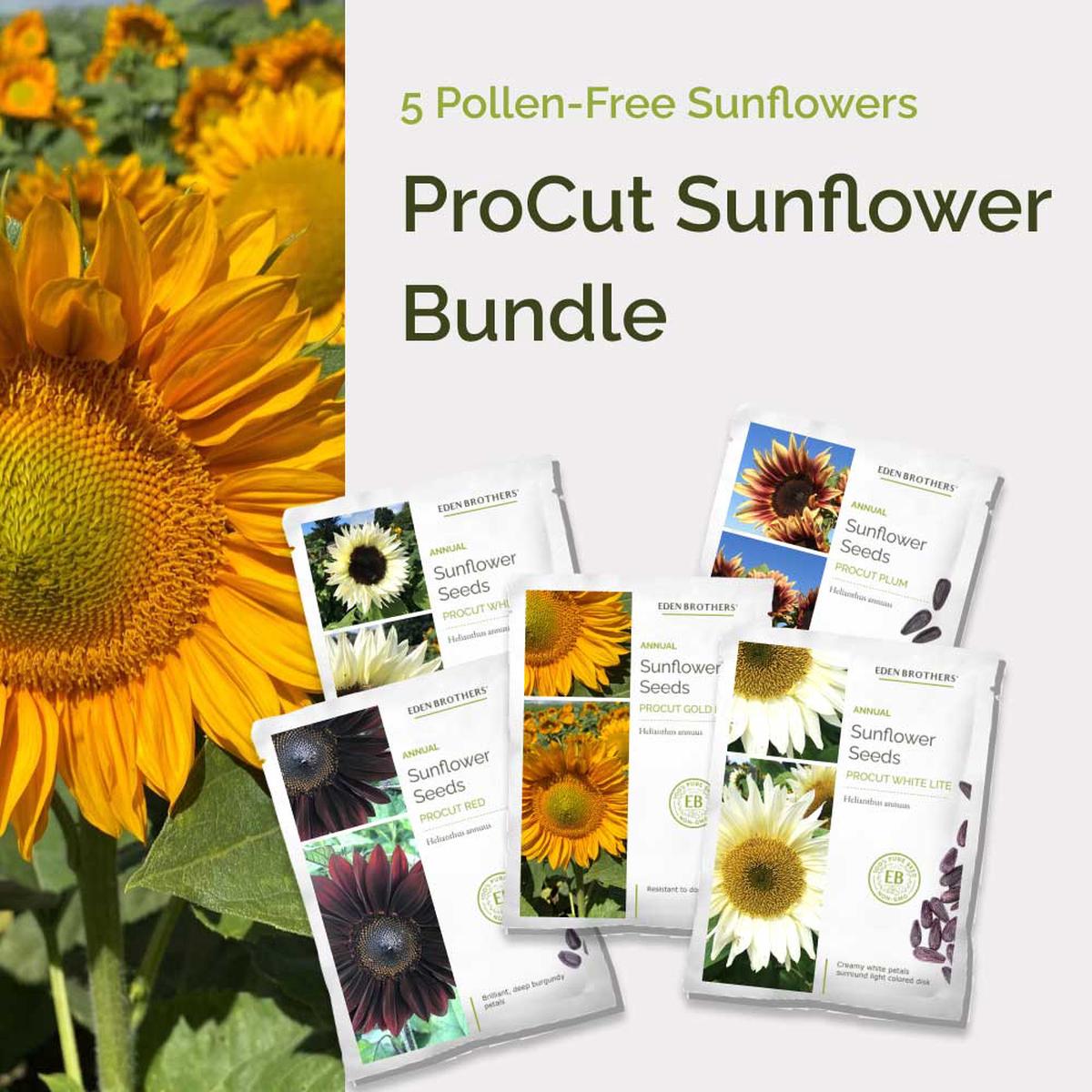 ProCut Sunflower Cut-Flower Bundle