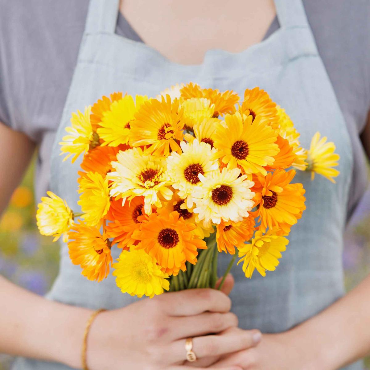 Calendula Seeds - Kablouna Mix