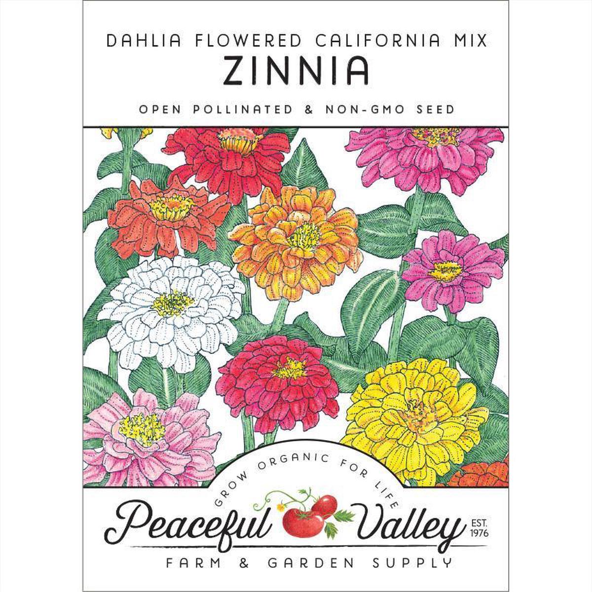 Zinnia, California Mix