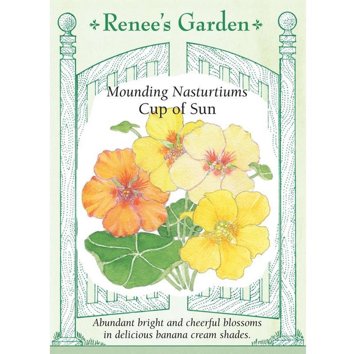 Cup of Sun Mounding Nasturtium Flower Seeds