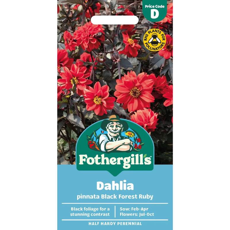 Mr Fothergill's Dahlia Black Forest Ruby Seeds