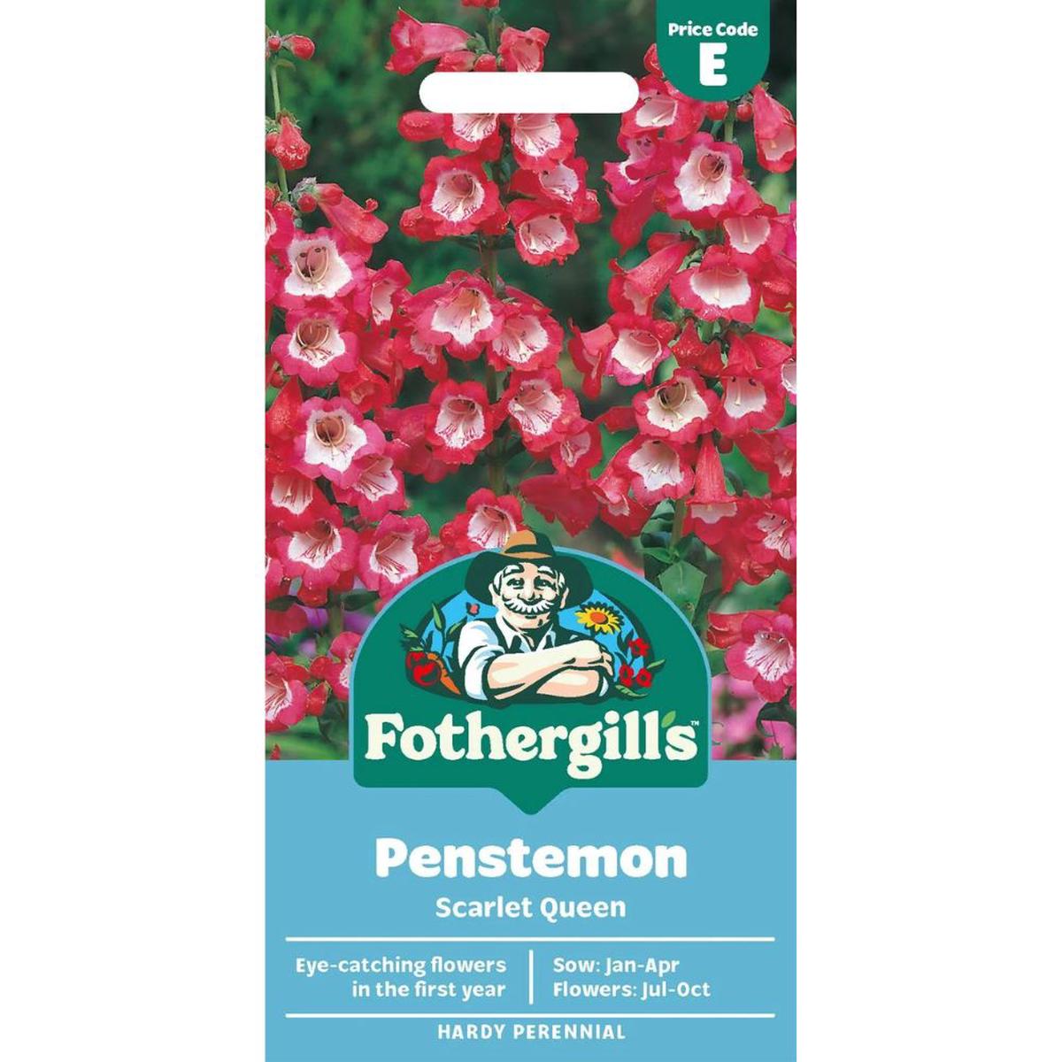 Mr Fothergills Penstemon Scarlet Queen Seeds