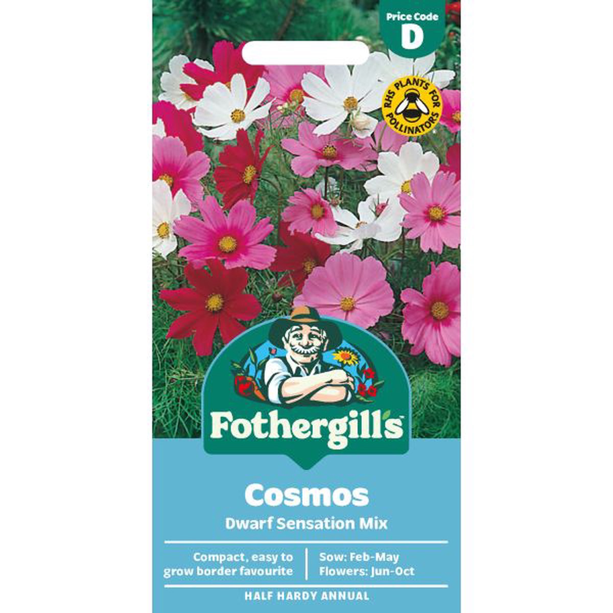 Cosmos Dwarf Sensation Mixed Seeds