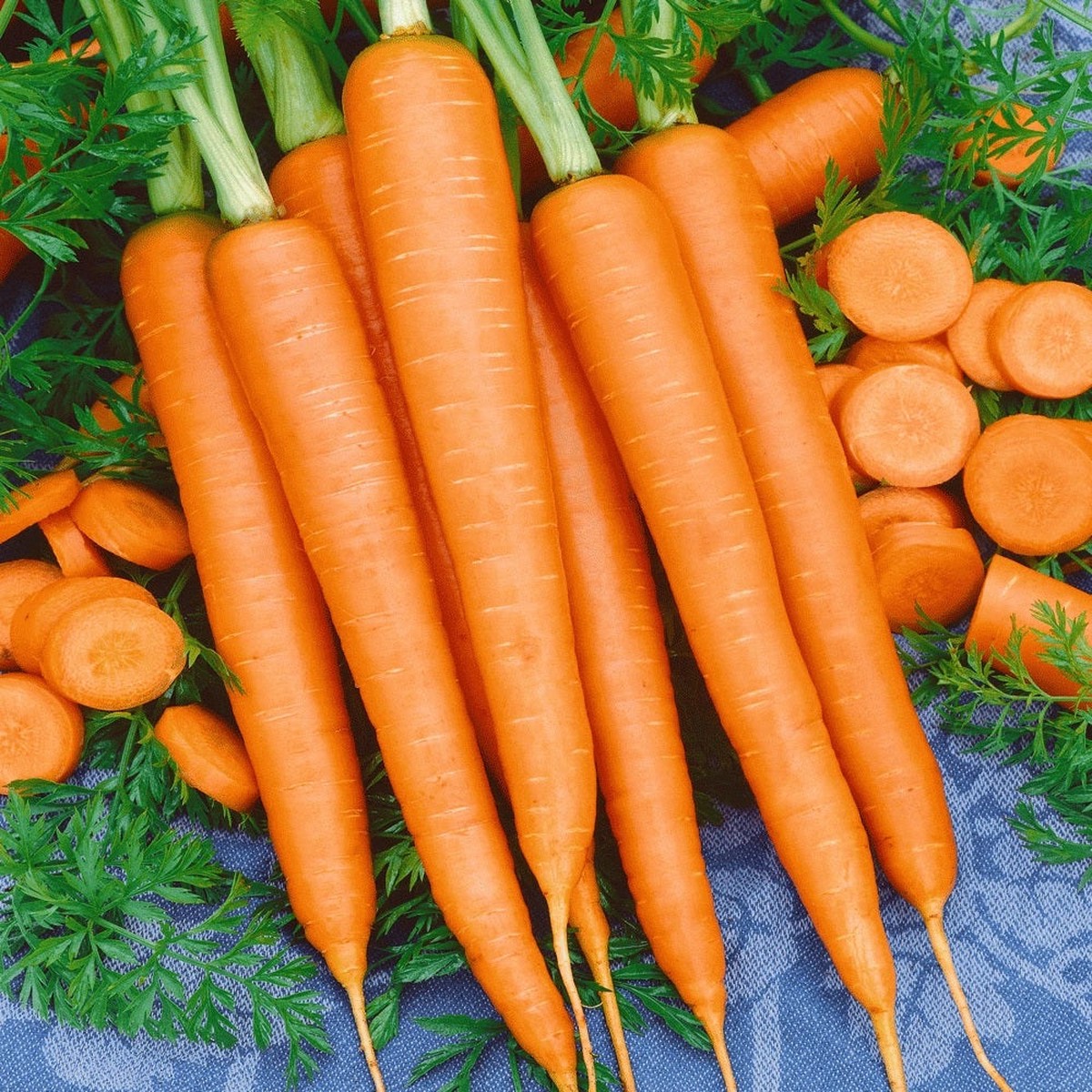500 Organic Nantes Carrot Vegetable Seeds