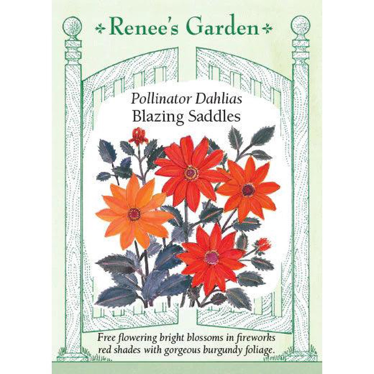 Blazing Saddles Dahlia