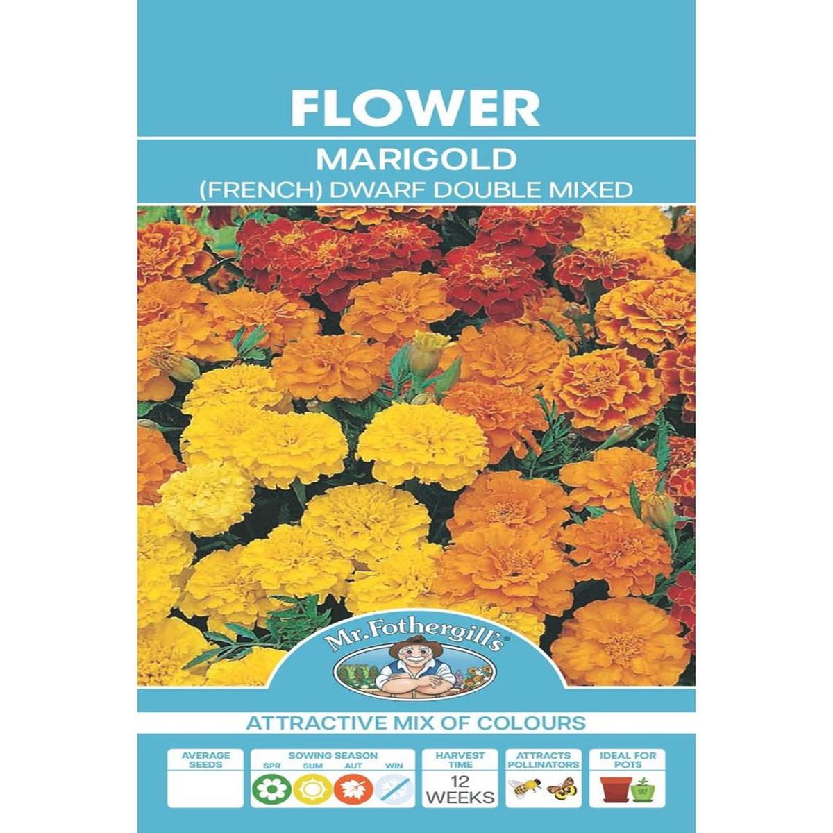 Mr Fothergills Marigold Dwarf Double