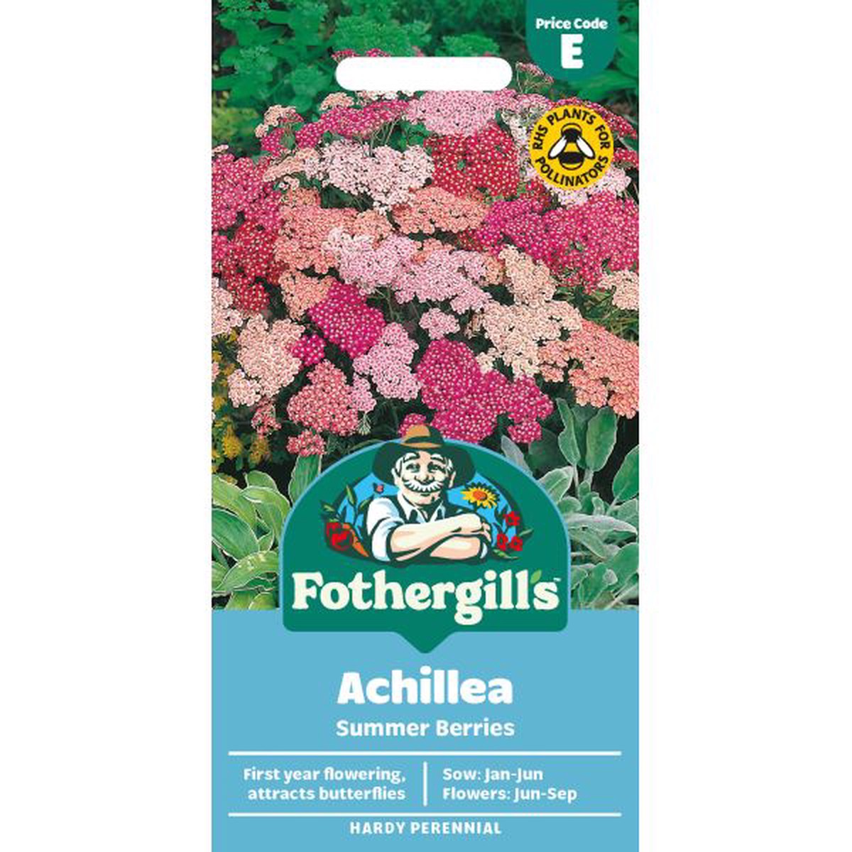 Achillea Summer Berries F2 Seeds