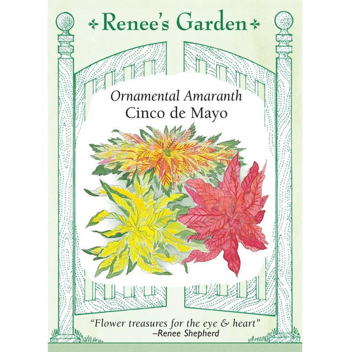 Cinco De Mayo Ornamental Amaranth Flower Seeds