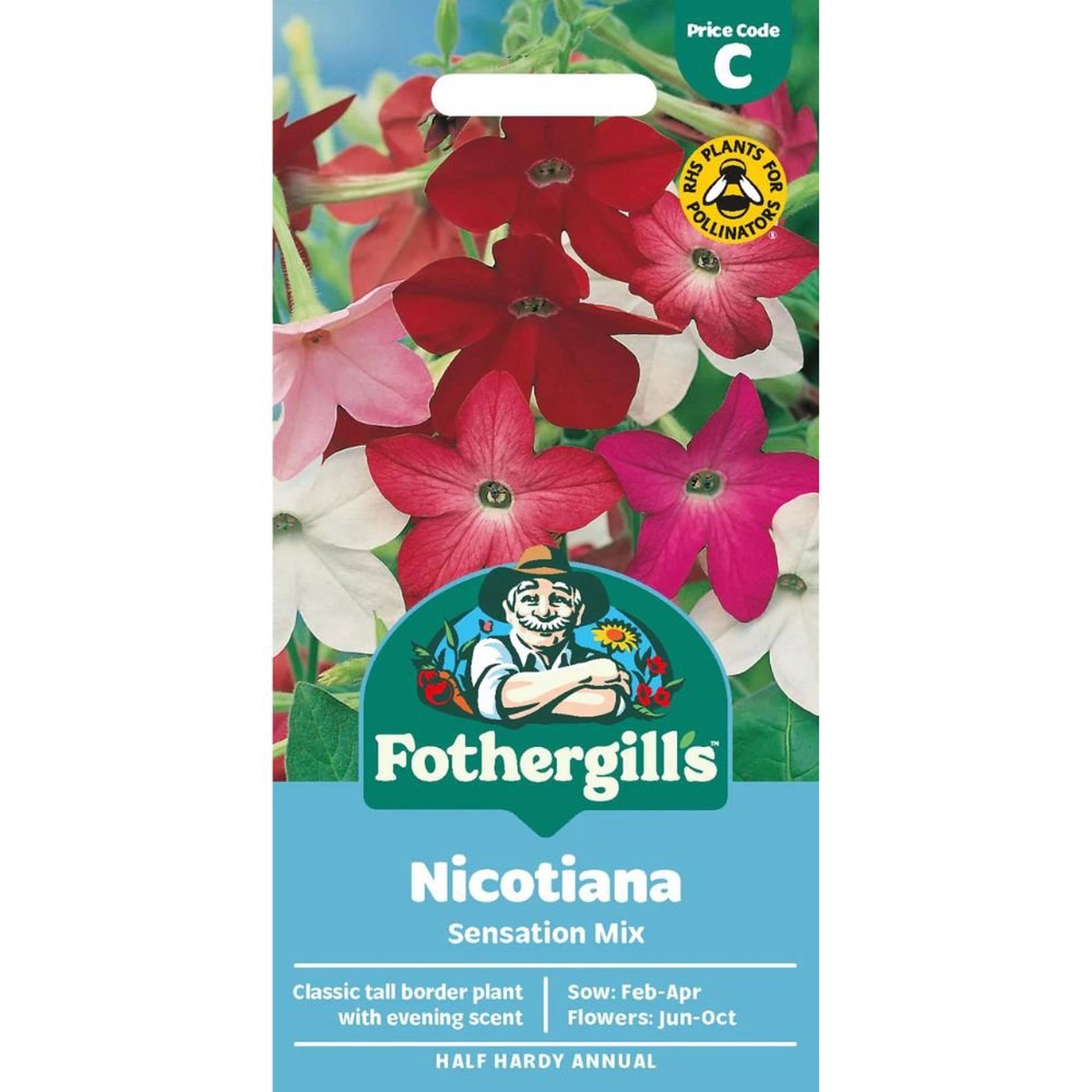 Mr Fothergills Nicotiana Sensation Mixed Seeds