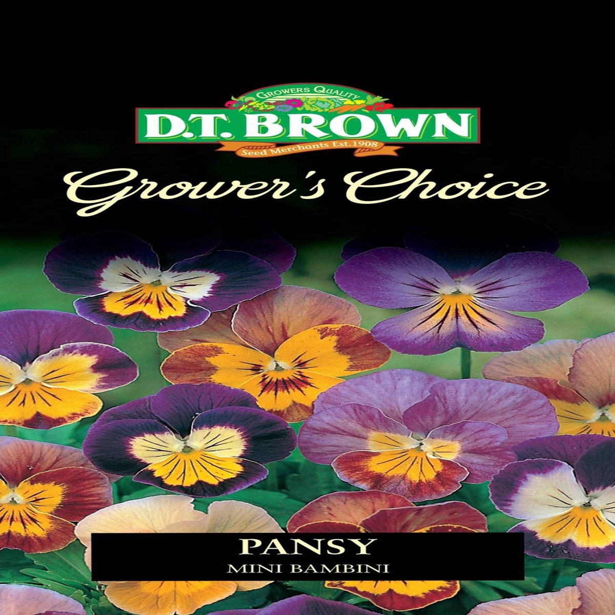 DT Brown Growers Choice Pansy Mini Bambini