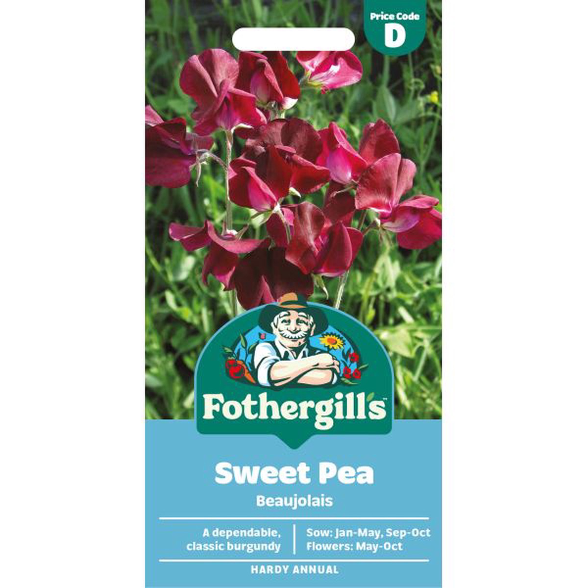 Sweet Pea Beaujolais Seeds