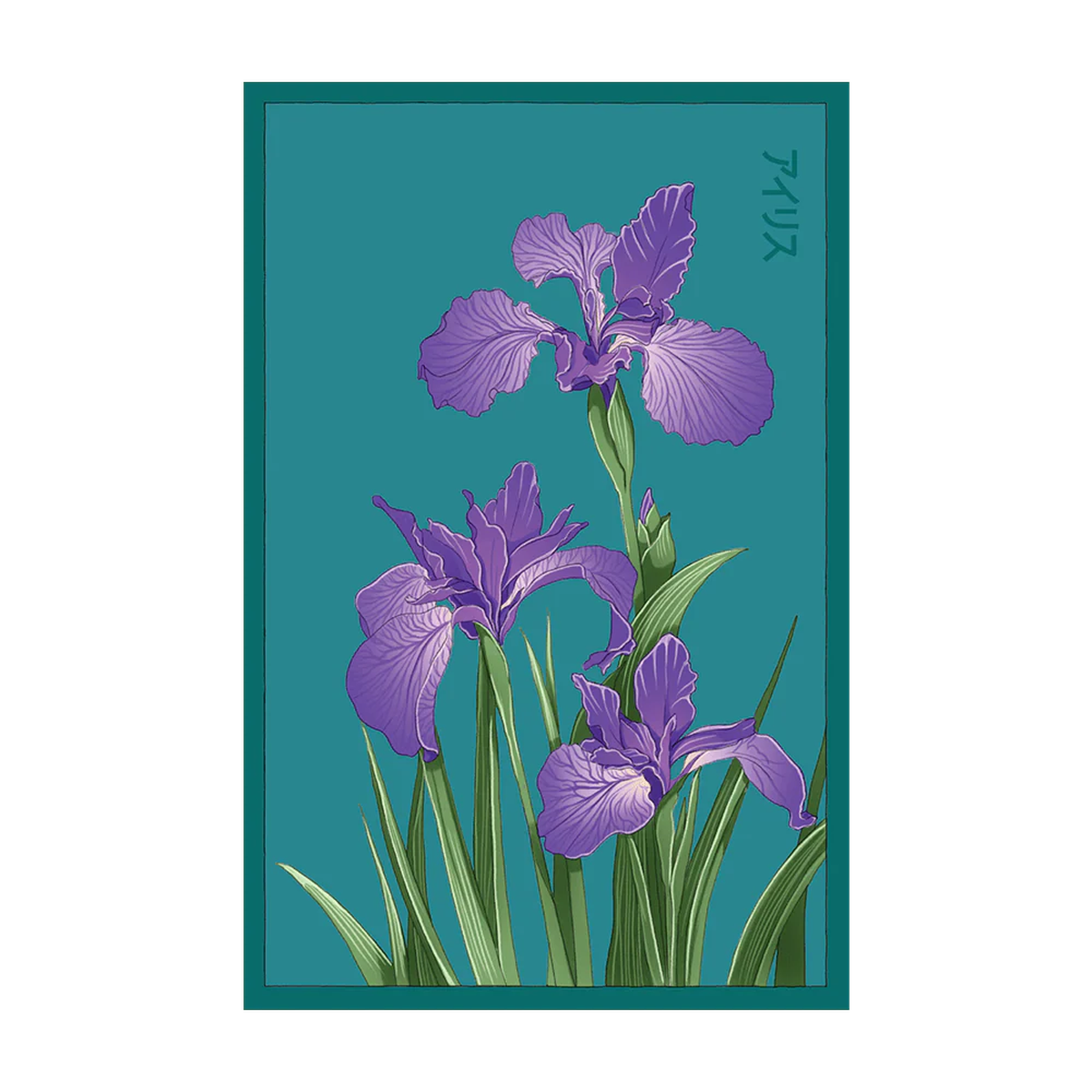 Shido Seeds Iris Flower Seeds Packet