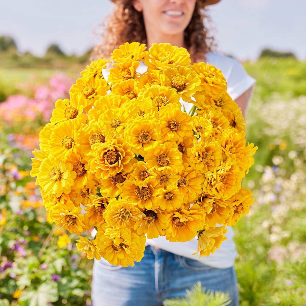 Zinnia Seeds - Golden State