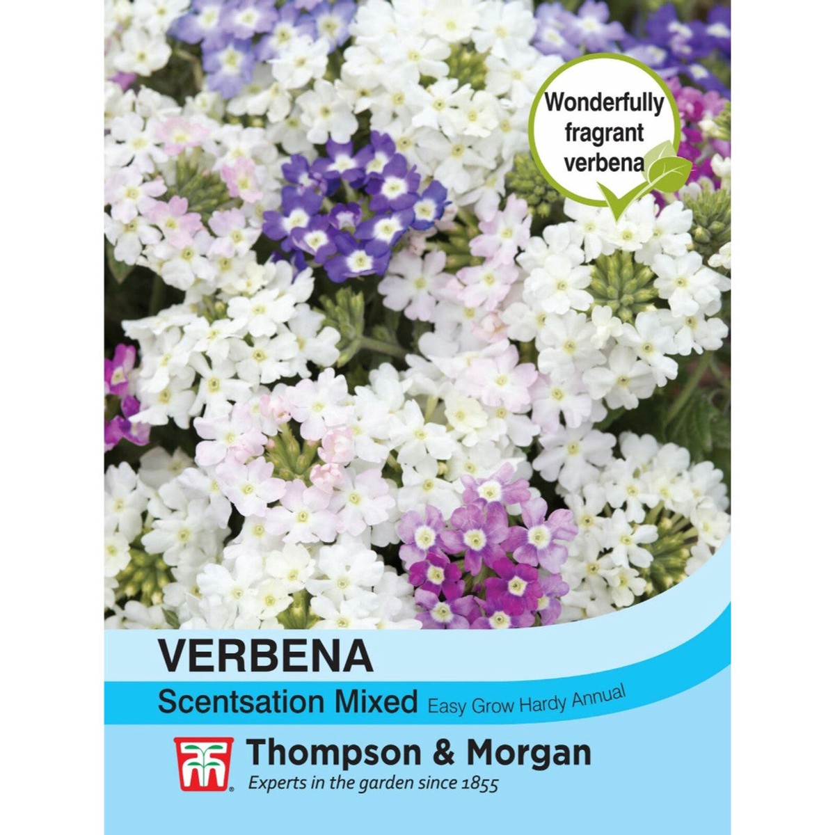 Verbena Scentsation Mix