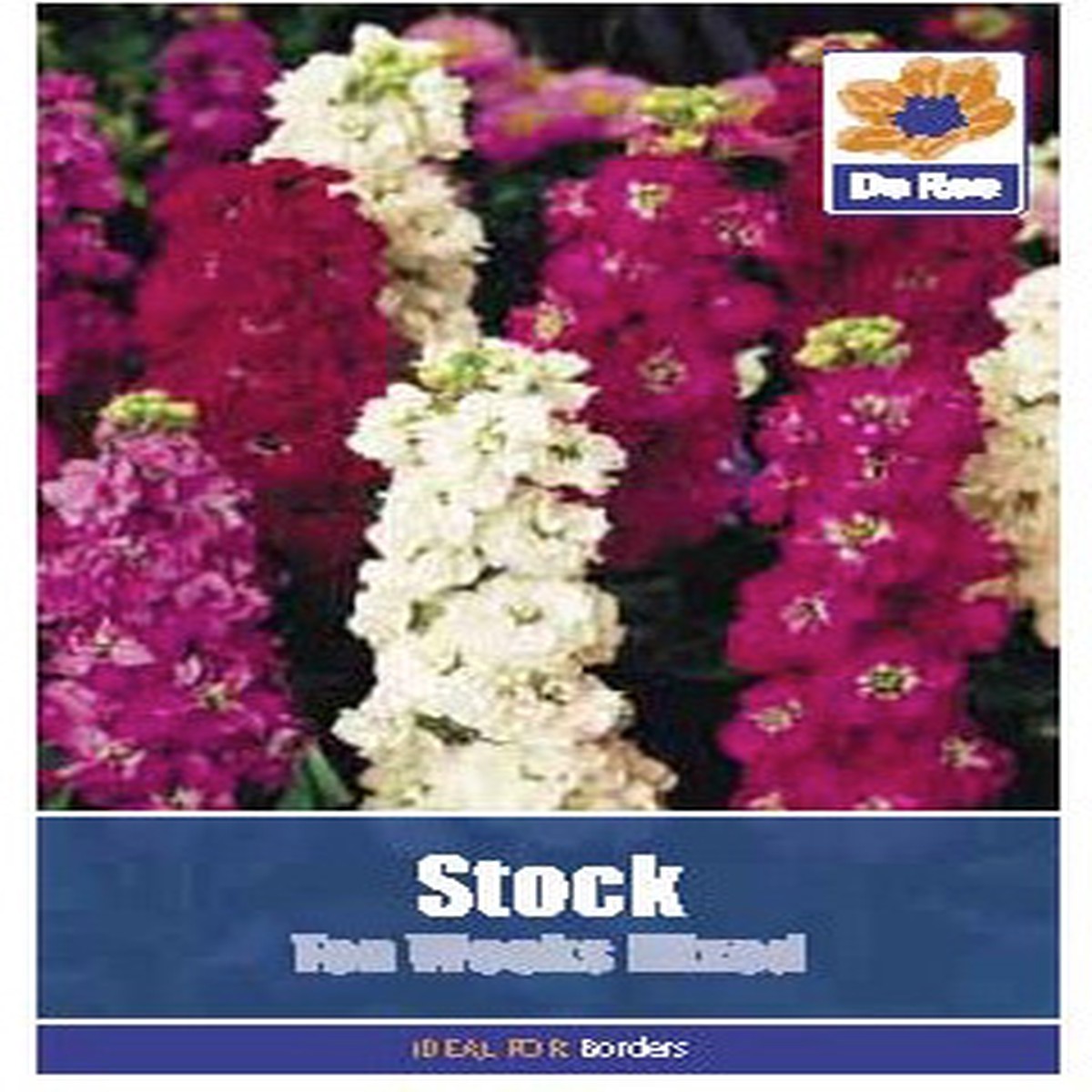 Stock Ten Weeks Seeds