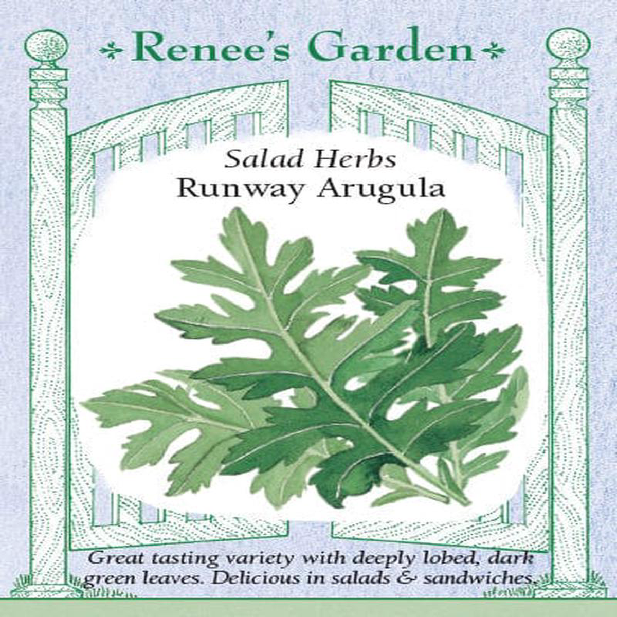 Arugula Runway 8211 Renee8217s Garden