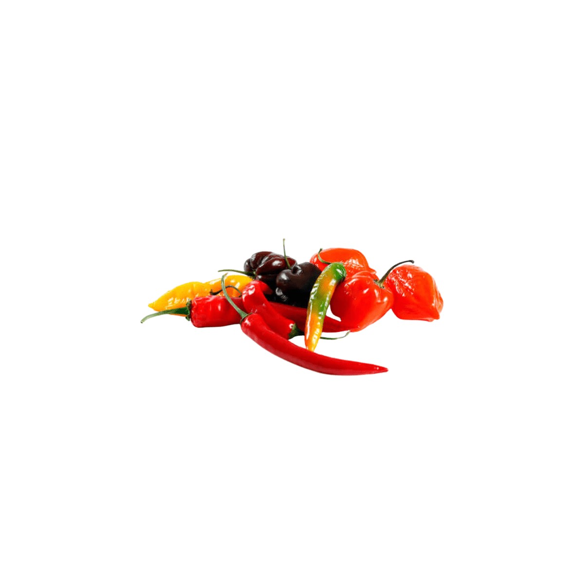 Pepper Hot Carranza Ancho Poblano Seeds (SHU 3,000) | OSC Seeds