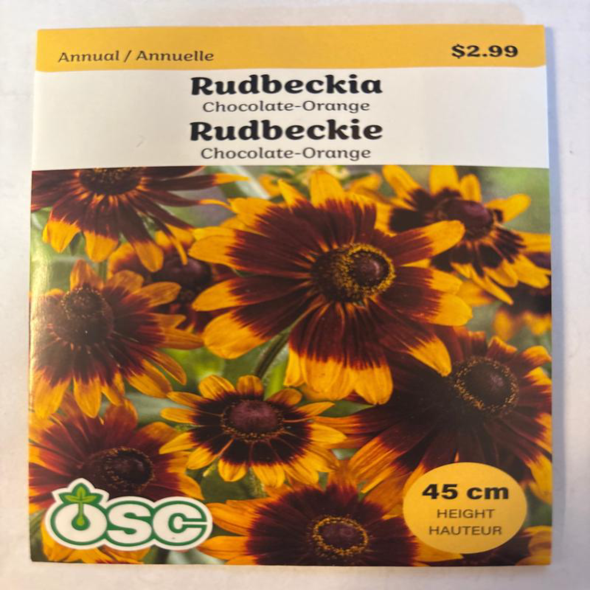 Rudbeckia Seed Packets Chocolate Orange