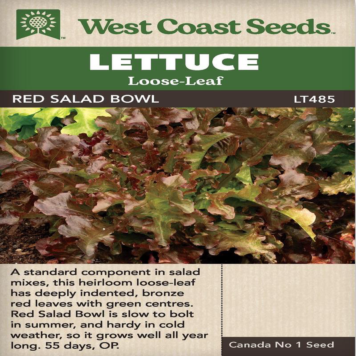 Lettuce Red Salad Bowl 8211 West Coast Seeds