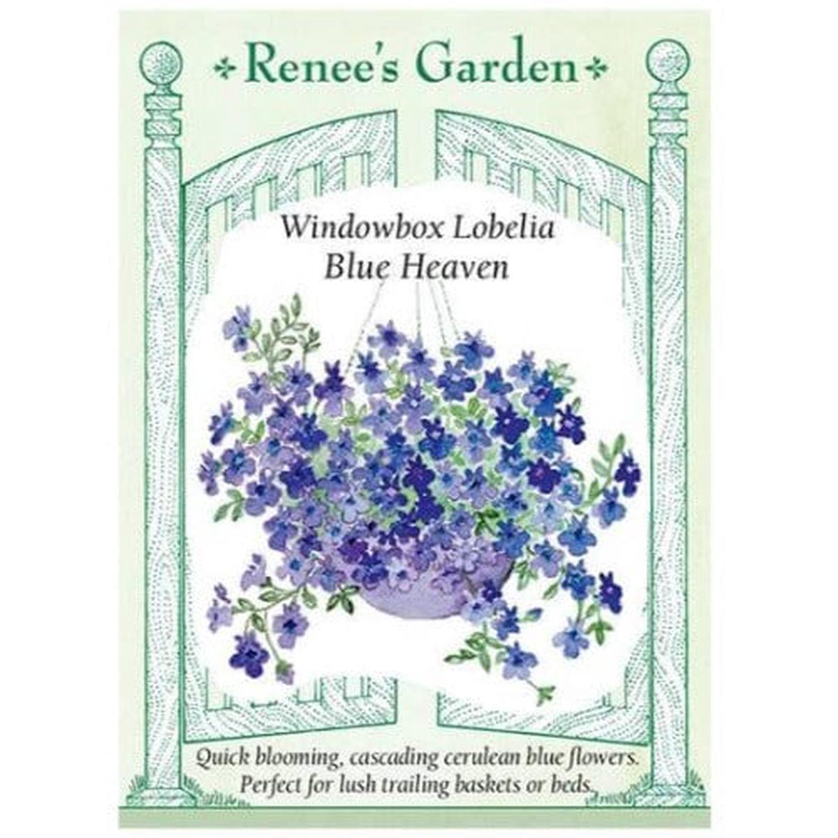 Lobelia Blue Heaven - Renee's Garden
