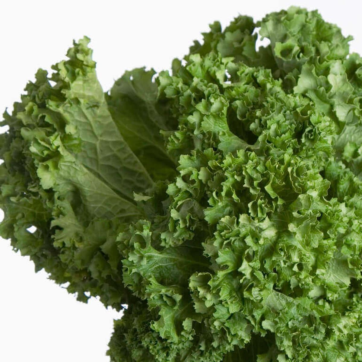 Mustard Greens Southern Giant Curled - Ontario Seed Company
