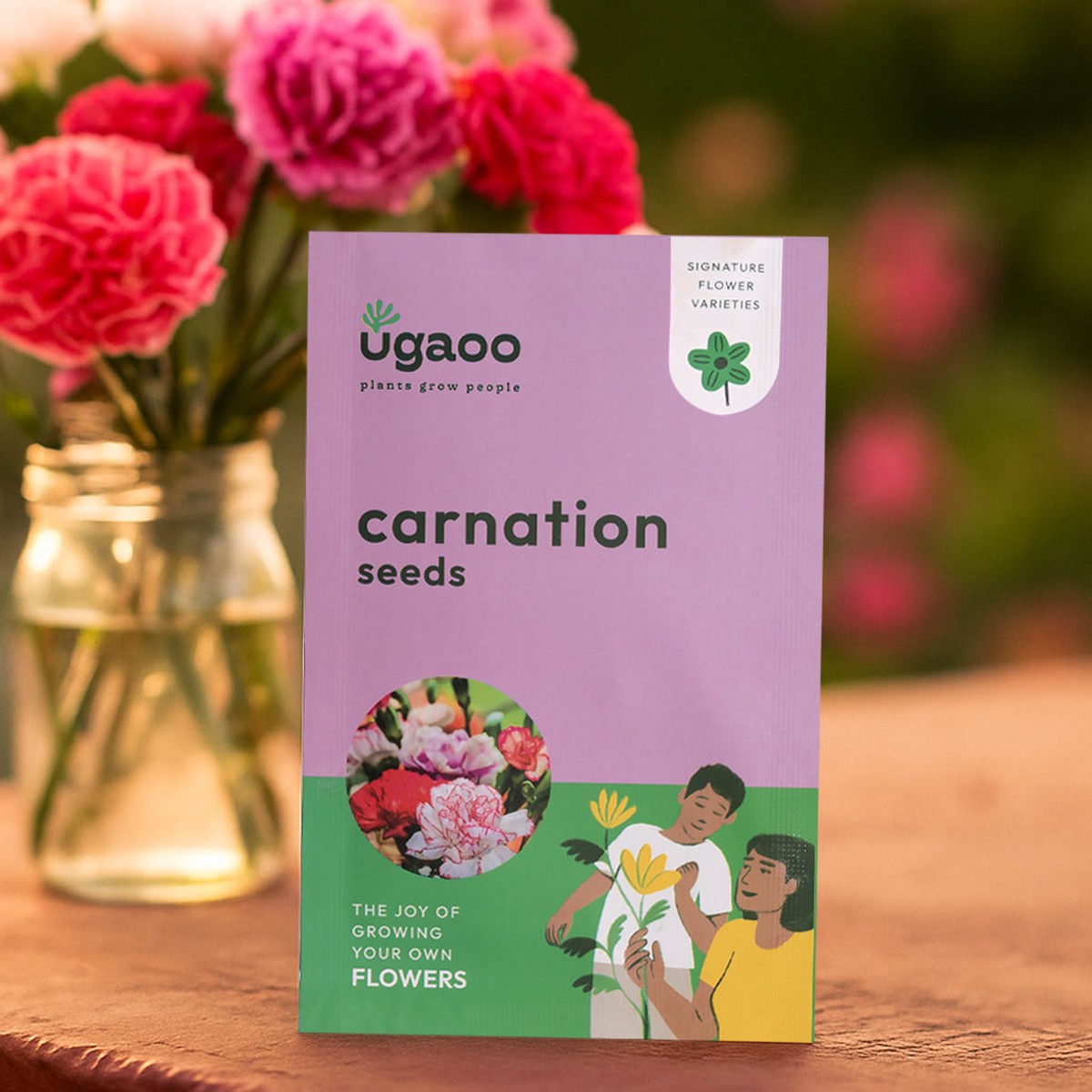 Carnation Seeds